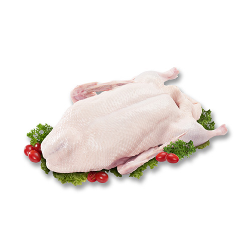 Frozen Whole Duck Without Head Feet Perak Duck Food Industries
